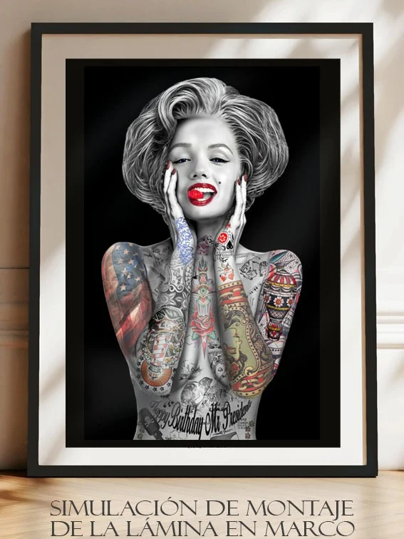 Alternative view of LAMINA MARILYN